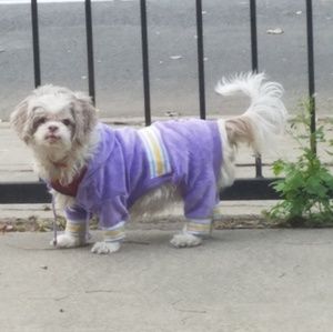 Meet your Posher, Sarong